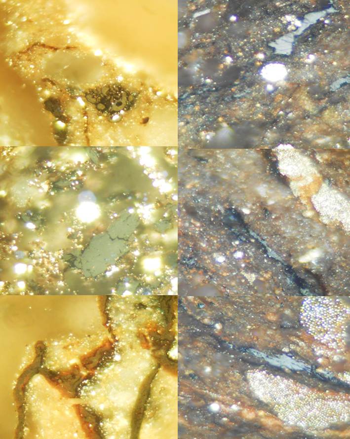 Polished section