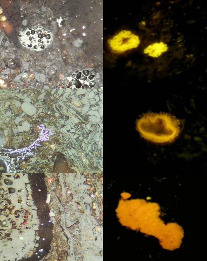 Thin section