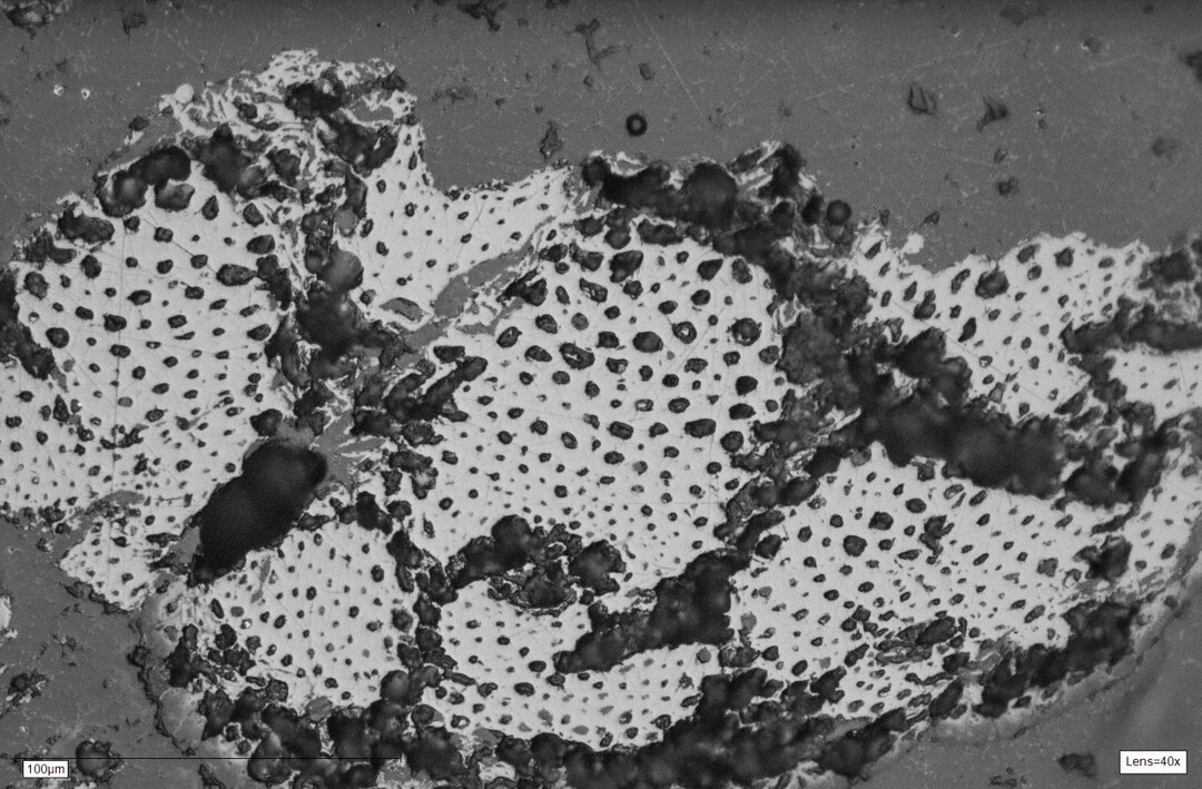 Biochar elongated pores