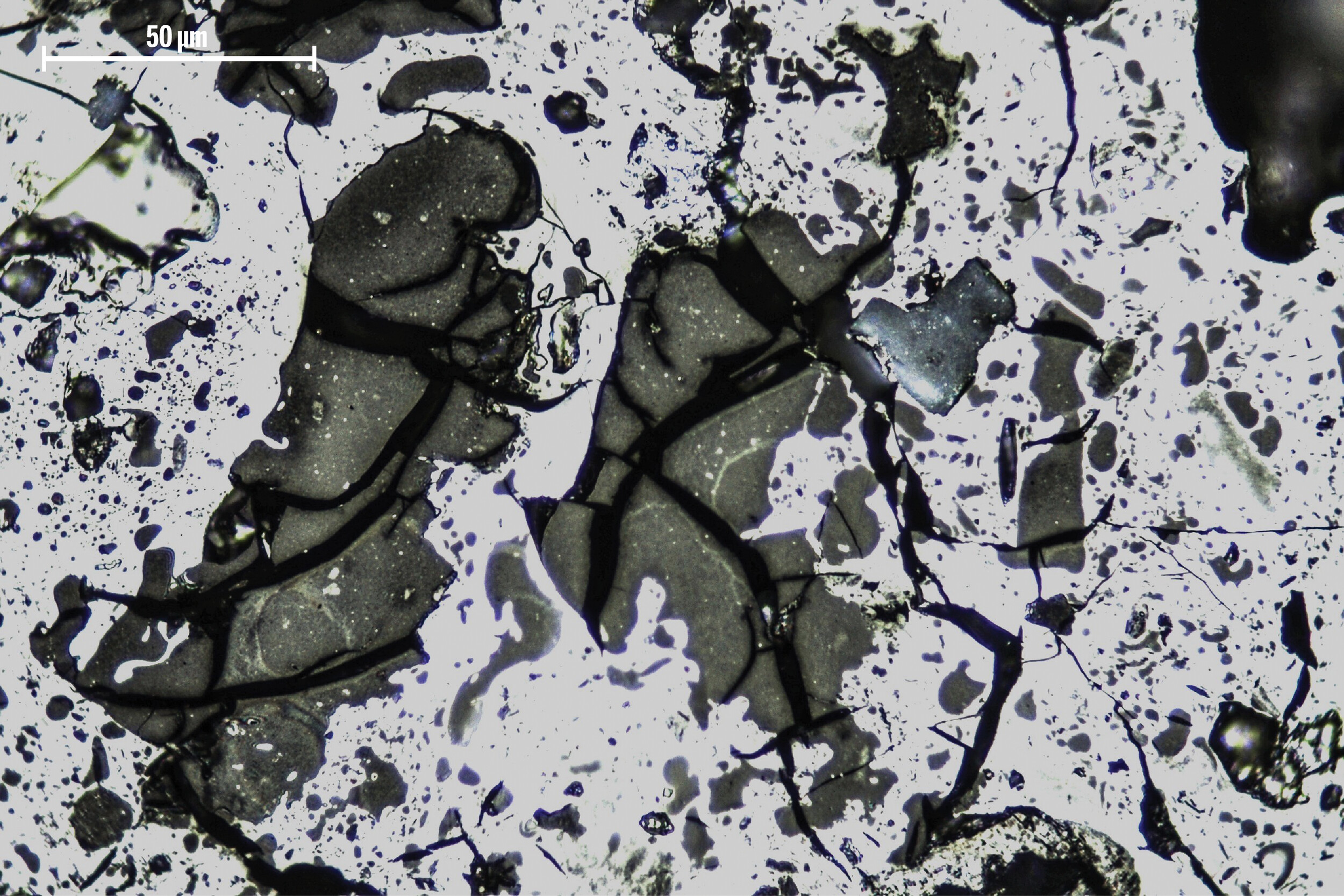 Biochar fractal branching structure