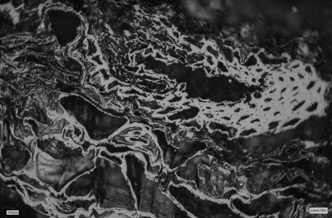 Biochar microstructure detail