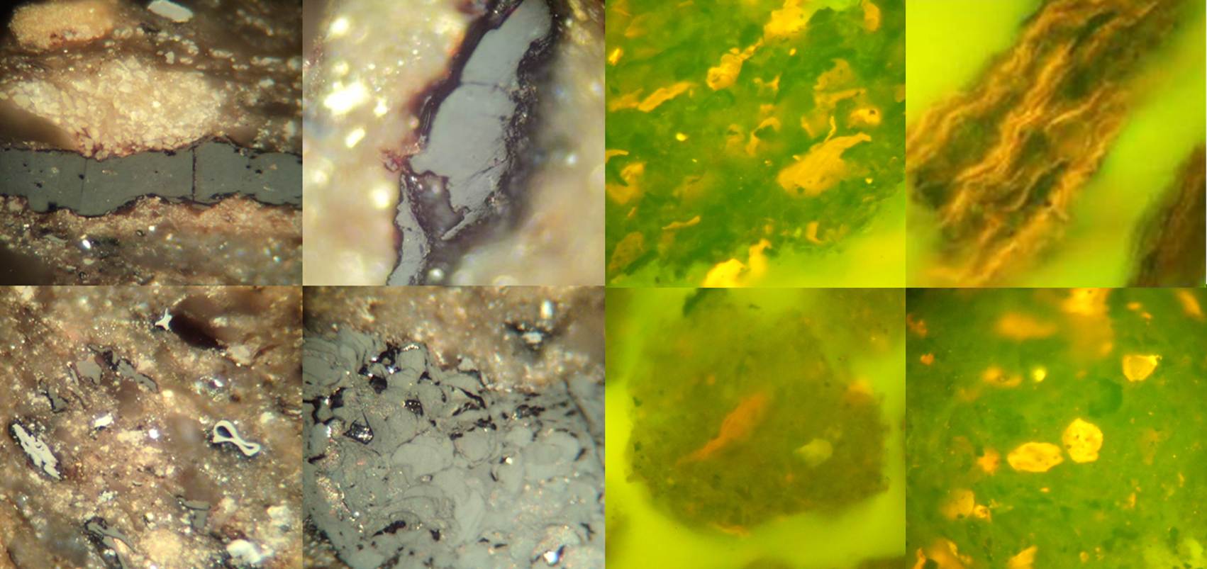 Organic matter analysis