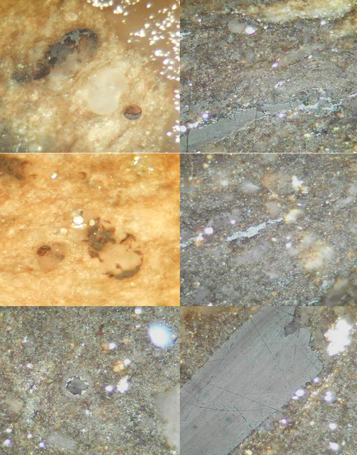 Bitumen reflectance