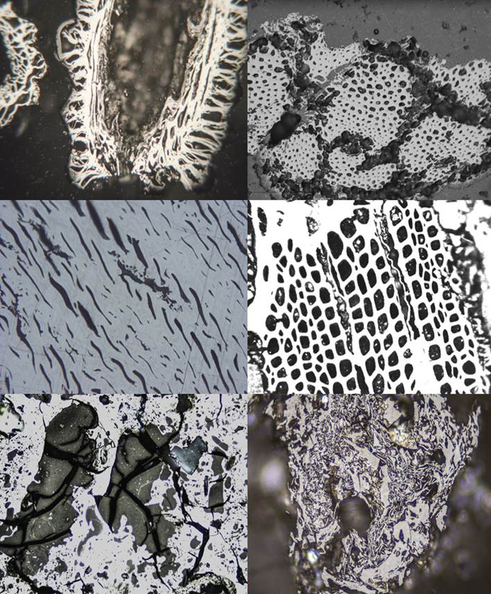 Biochar Analysis